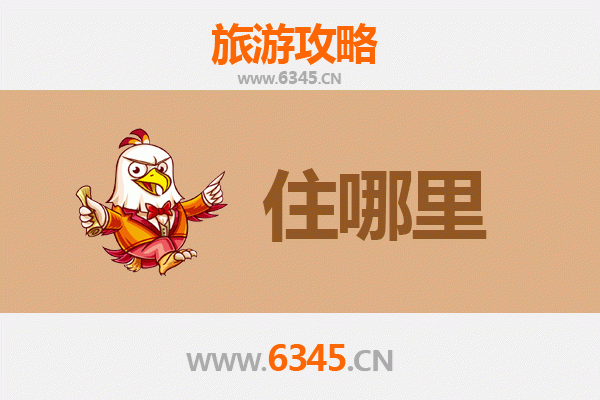 廊坊永清旅游民宿全攻略：沉浸式体验京南水乡的静谧与雅致